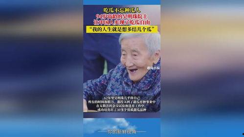 吃瓜不忘买瓜人,揭秘网络时代的“瓜民”现象