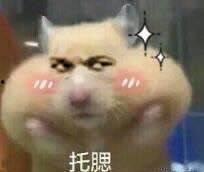 吃瓜托腮表情,揭秘网络时代的表情符号魅力