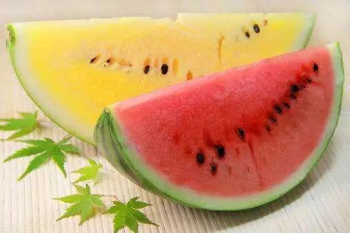 顶级博主吃瓜,揭秘顶级博主吃瓜背后的真相与内幕