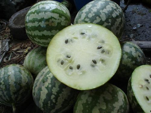 甘肃栏瓜怎么吃,甘肃栏瓜的多样食法探索