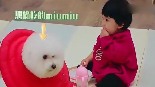 吃瓜剪头发,一场意外的发型革命