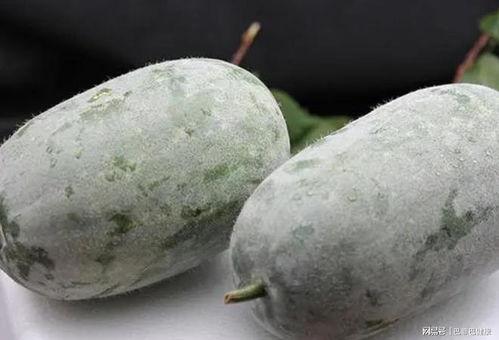 一线吃瓜站,揭秘娱乐圈幕后风云