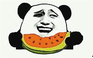 吃瓜吃旁观者,吃瓜群众视角下的旁观者人生