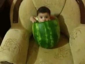 吃瓜好笑程度,盘点那些让人捧腹大笑的吃瓜瞬间