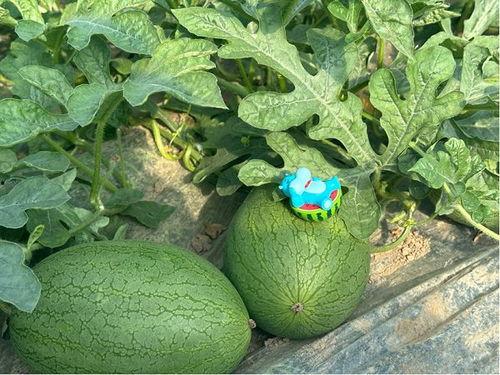 小纸吃瓜,揭秘娱乐圈那些不为人知的幕后故事