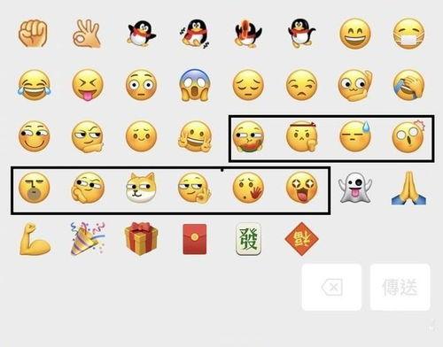 旺柴吃瓜情侣,甜蜜互动背后的温馨故事