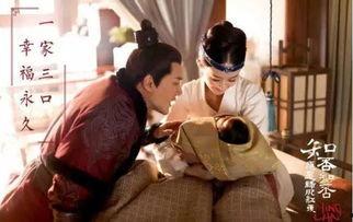 吃瓜吃成连续剧,从吃瓜到连续剧的奇妙旅程