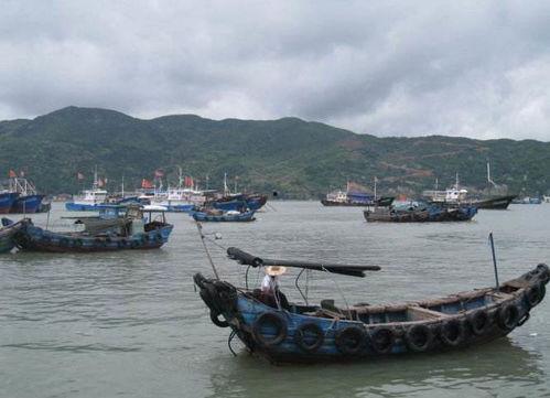 福建吃瓜渔船事件,一场引发社会关注的争议事件