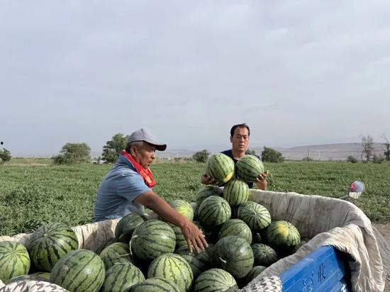 西广场吃瓜,热闹非凡的吃瓜现场，揭秘夏日街头文化
