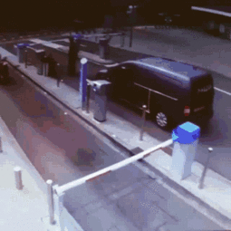 吃瓜妹子gif,趣味横生的瞬间捕捉