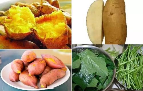 土瓜配方吃高血压,天然食材助您轻松降血压