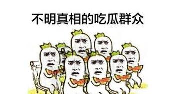 吃瓜排队,揭秘热门事件背后的围观热潮