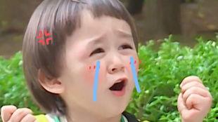 田小野说小明吃瓜