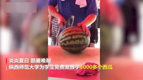 高校吃瓜视频合法吗,法律边界与道德考量