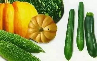 老藤树下吃瓜,闲话吃瓜趣事