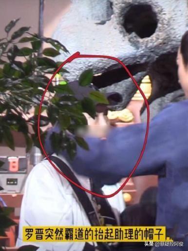 吃瓜爆料罗晋,娱乐圈背后的故事大揭秘